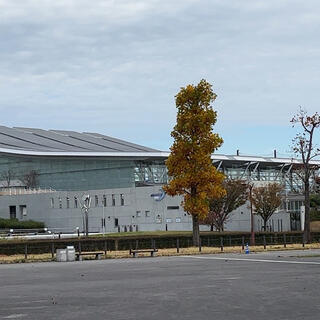 松山中央公園プールの写真24