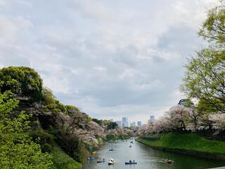 千代田区立九段坂公園のクチコミ写真1