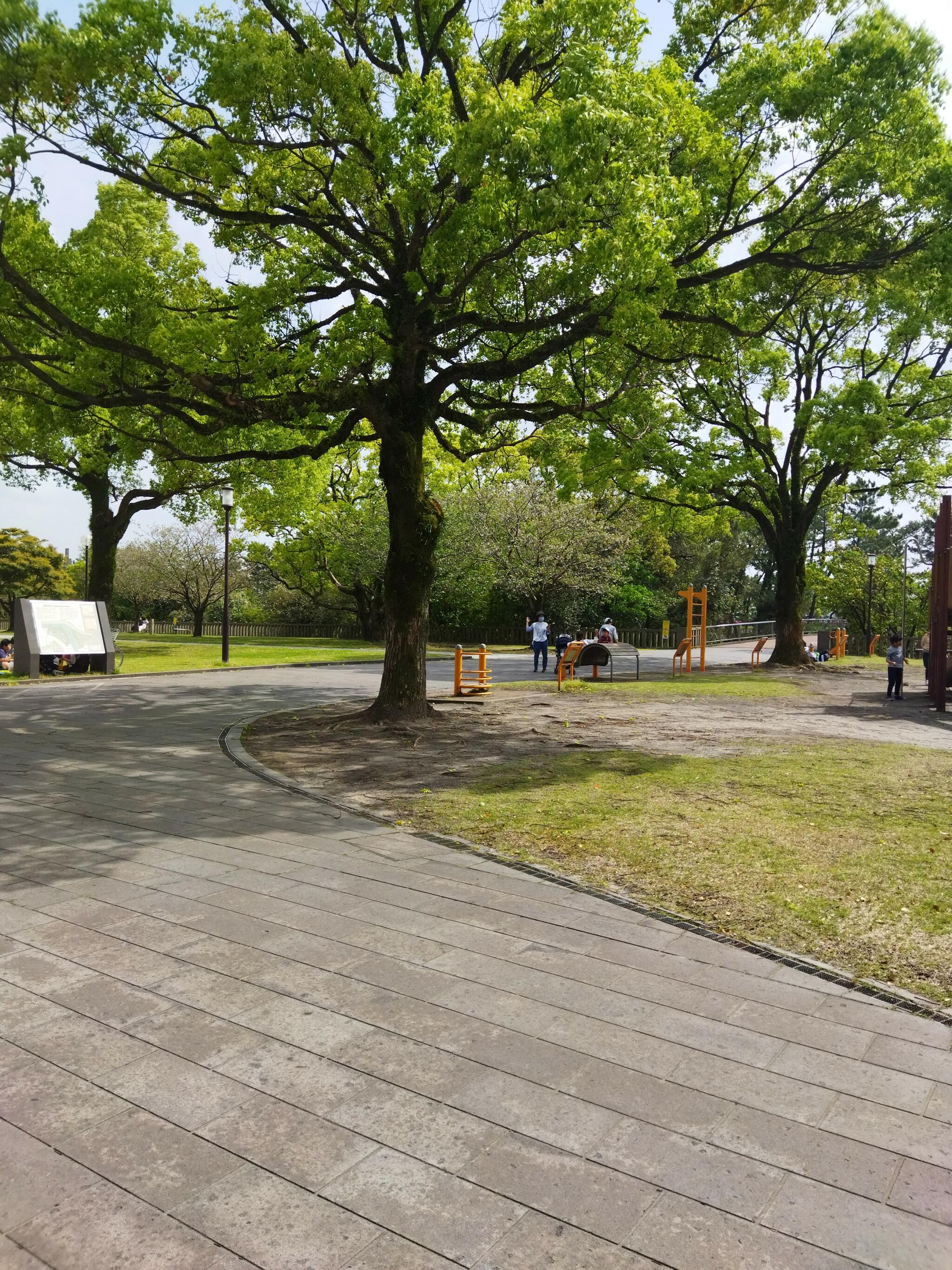 祇園之洲公園の代表写真7