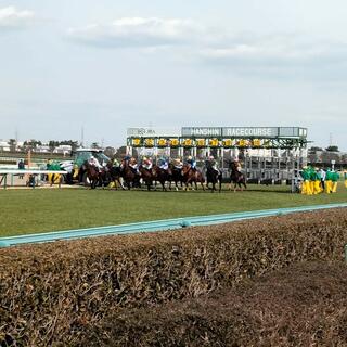 JRA 阪神競馬場のクチコミ写真1