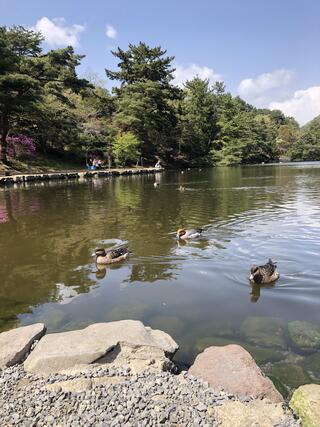 みやま公園のクチコミ写真1