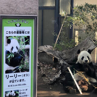 東京都恩賜上野動物園の写真1
