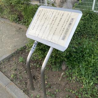 東戸倉りんどう児童遊園の写真6