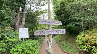 茅ヶ崎公園のクチコミ写真3