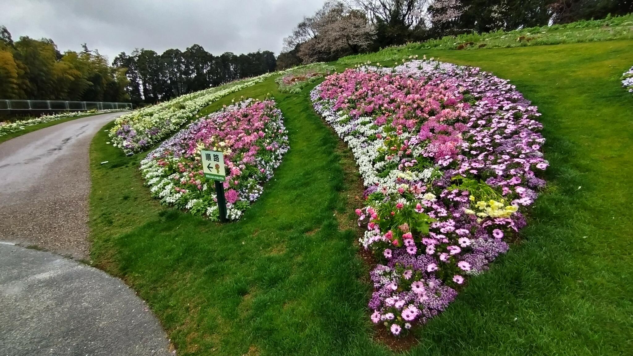 里山ガーデンの代表写真5