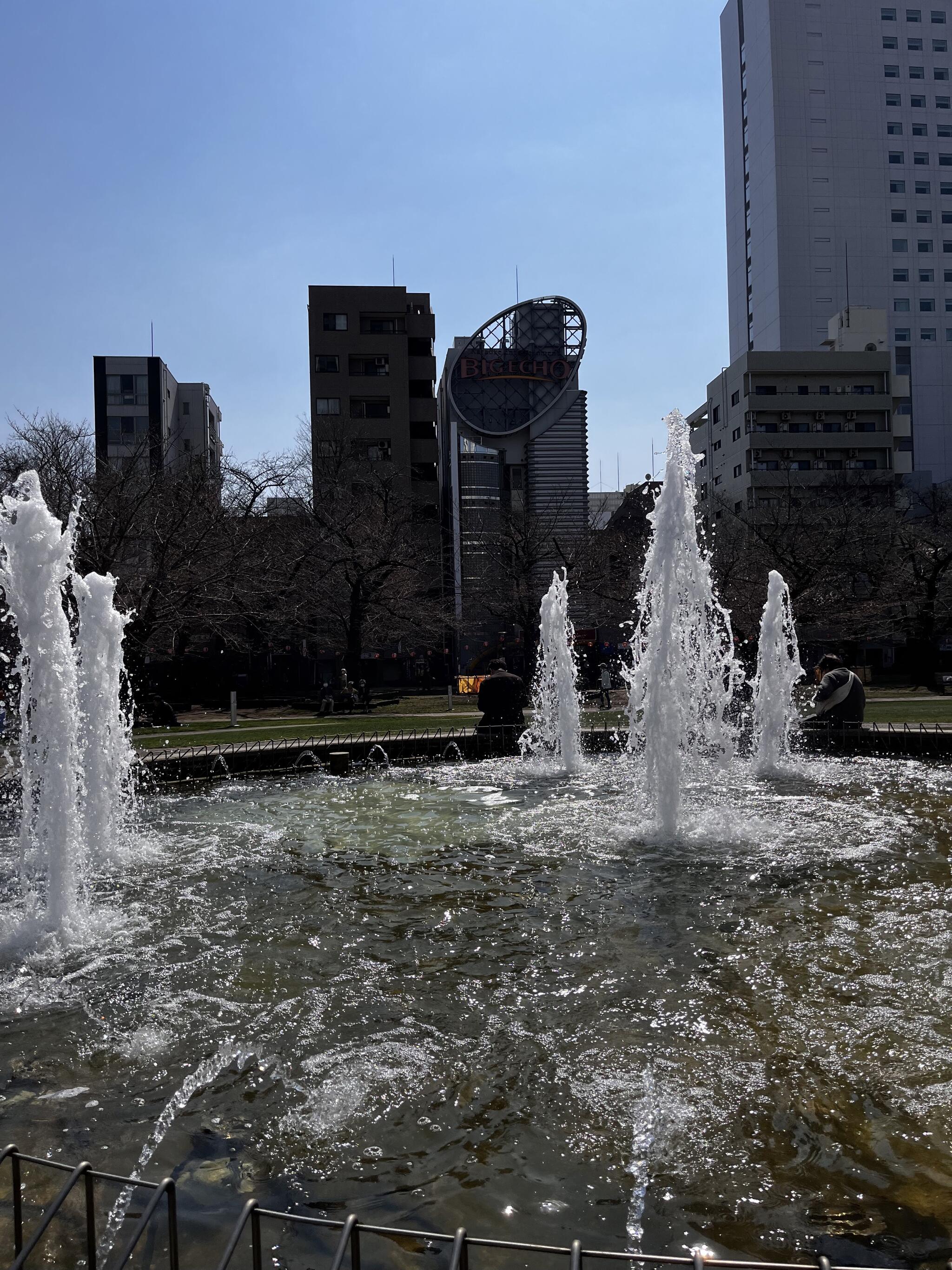 錦糸公園の代表写真9