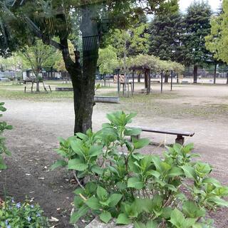 一乗寺公園の写真5
