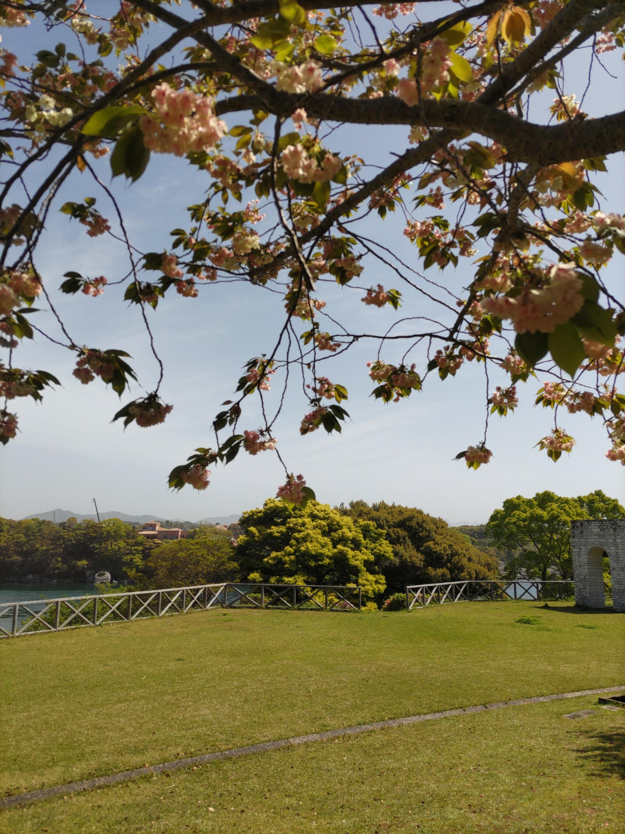 長崎県立西海橋公園 ゲートボール広場の代表写真4