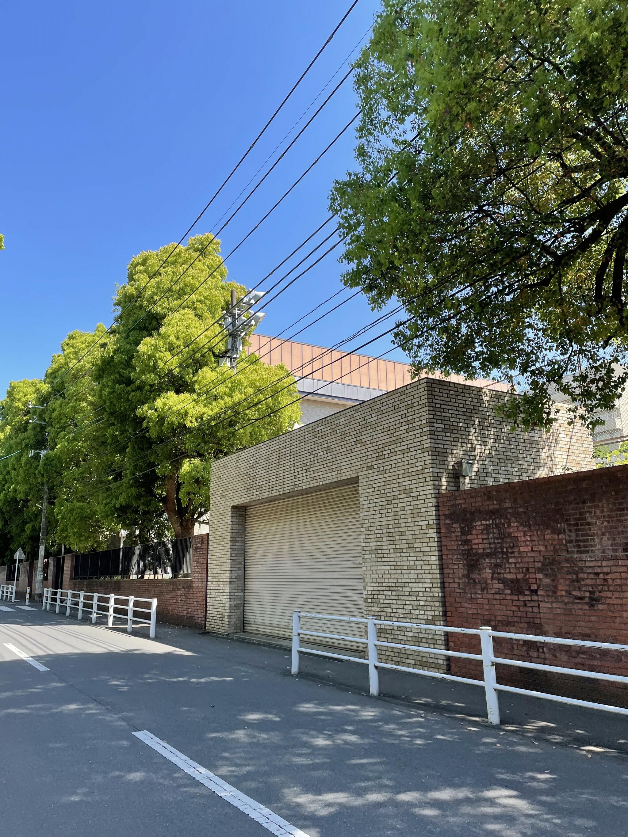 クチコミ : 聖徳大学附属幼稚園 - 松戸市岩瀬/幼稚園 | Yahoo!マップ