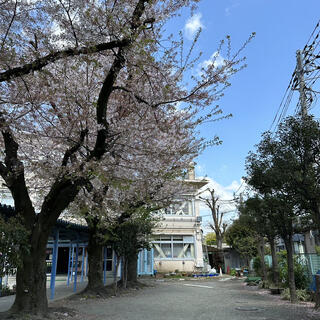 世田谷区立砧小学校の写真3