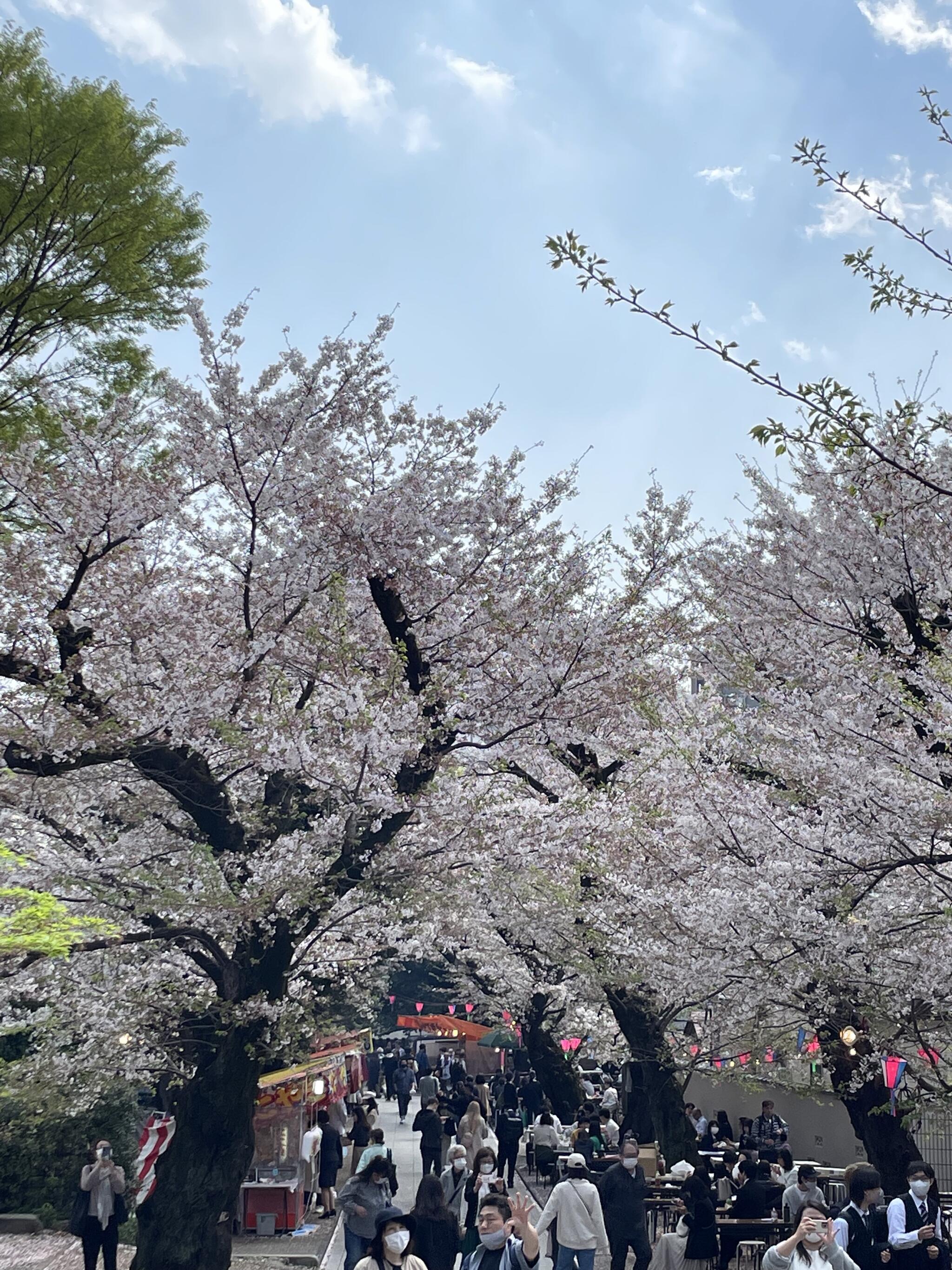 法明寺の代表写真6