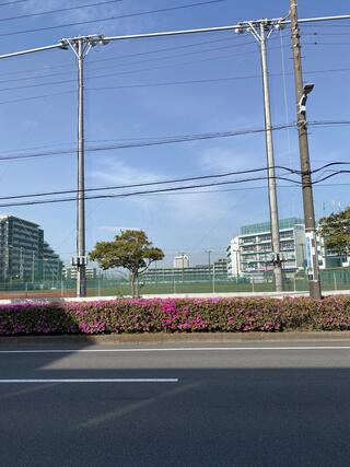 東京学館浦安高等学校のクチコミ写真1