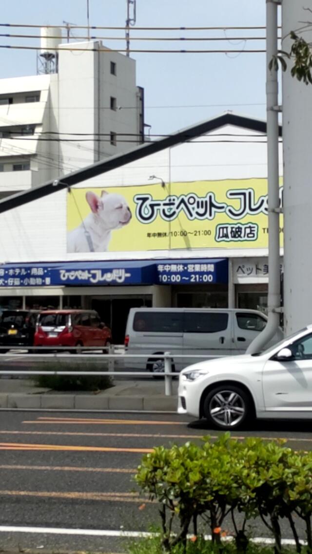 ひごペットフレンドリー 瓜破店 大阪府大阪市平野区 人気