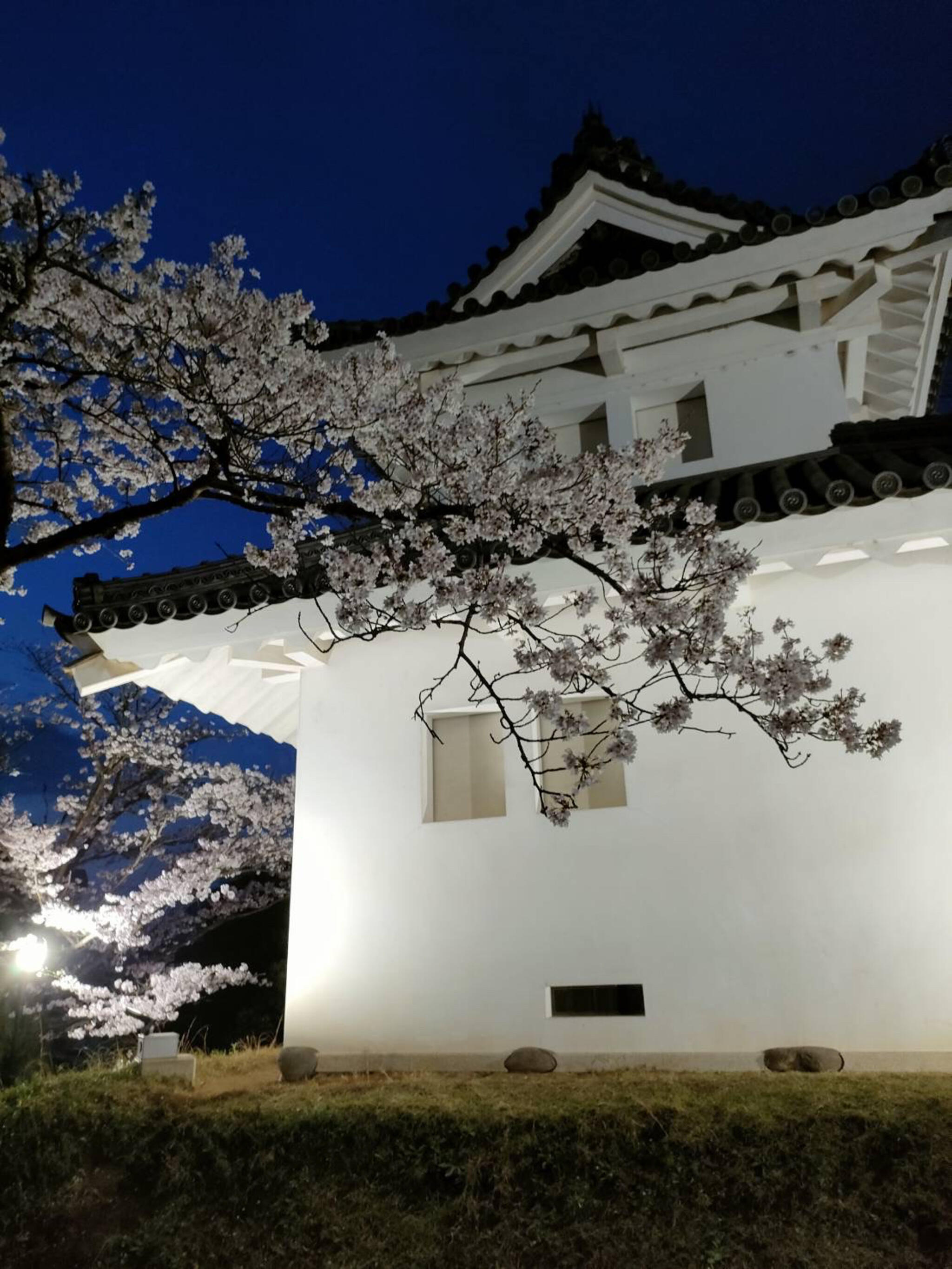 亀城公園(土浦城址) - 土浦市中央公園 | Yahoo!マップ