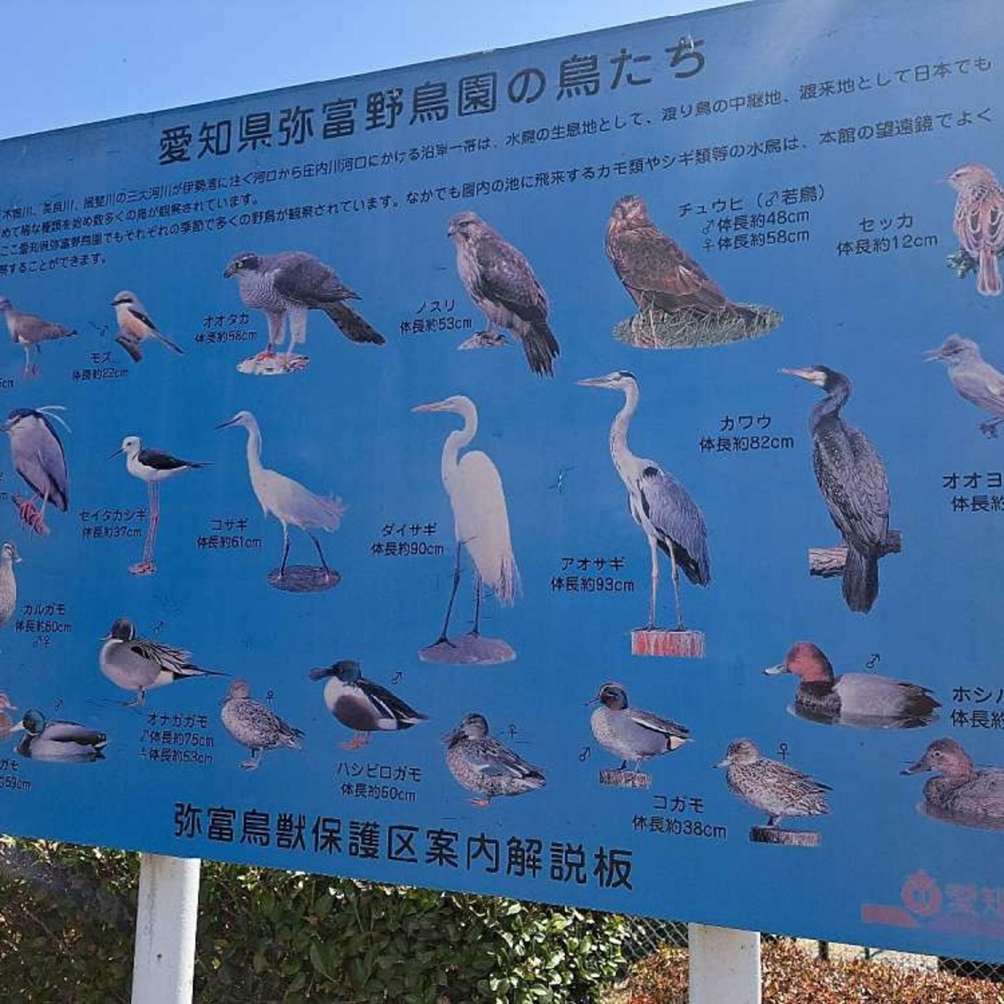 弥富野鳥園の代表写真9