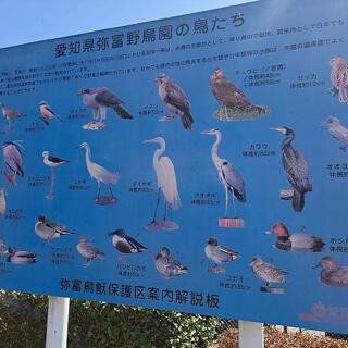 弥富野鳥園のクチコミ写真1