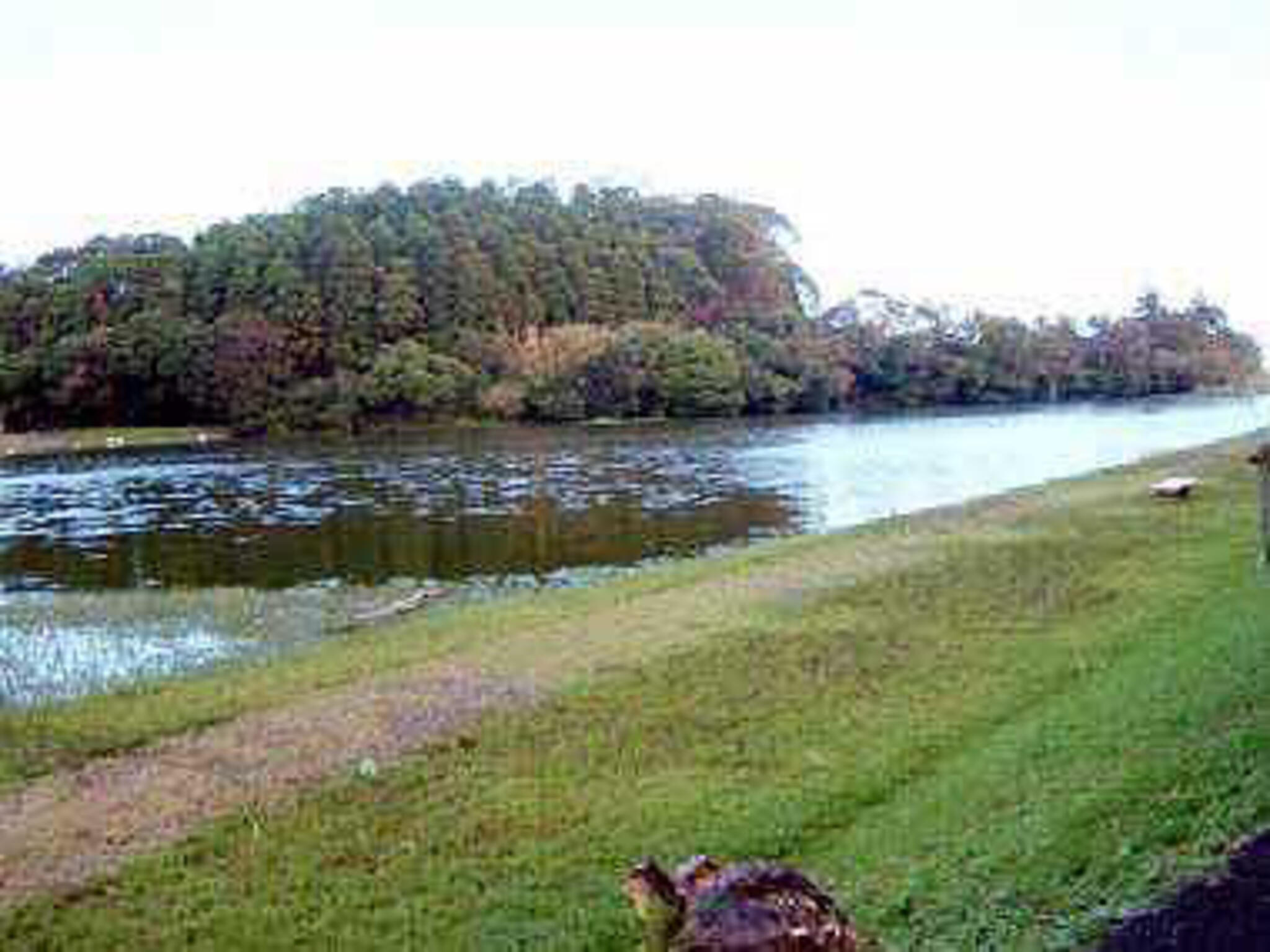 下小原池公園の代表写真1