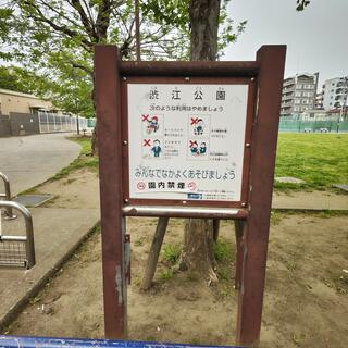 渋江公園の写真16