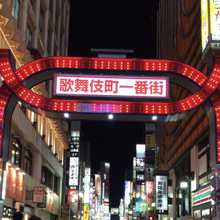 歌舞伎町一番街の写真2