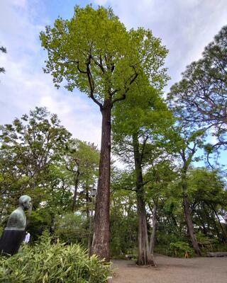 練馬区立牧野記念庭園のクチコミ写真1