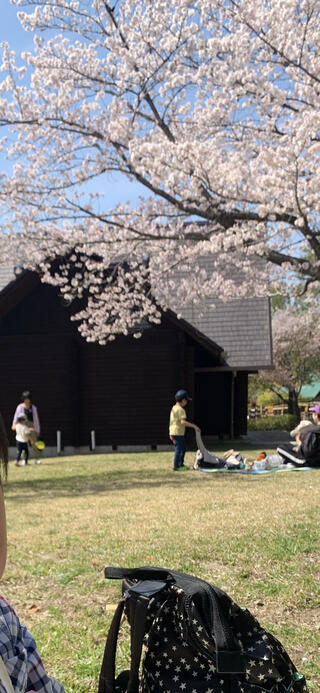 春日井市都市緑化植物園のクチコミ写真1