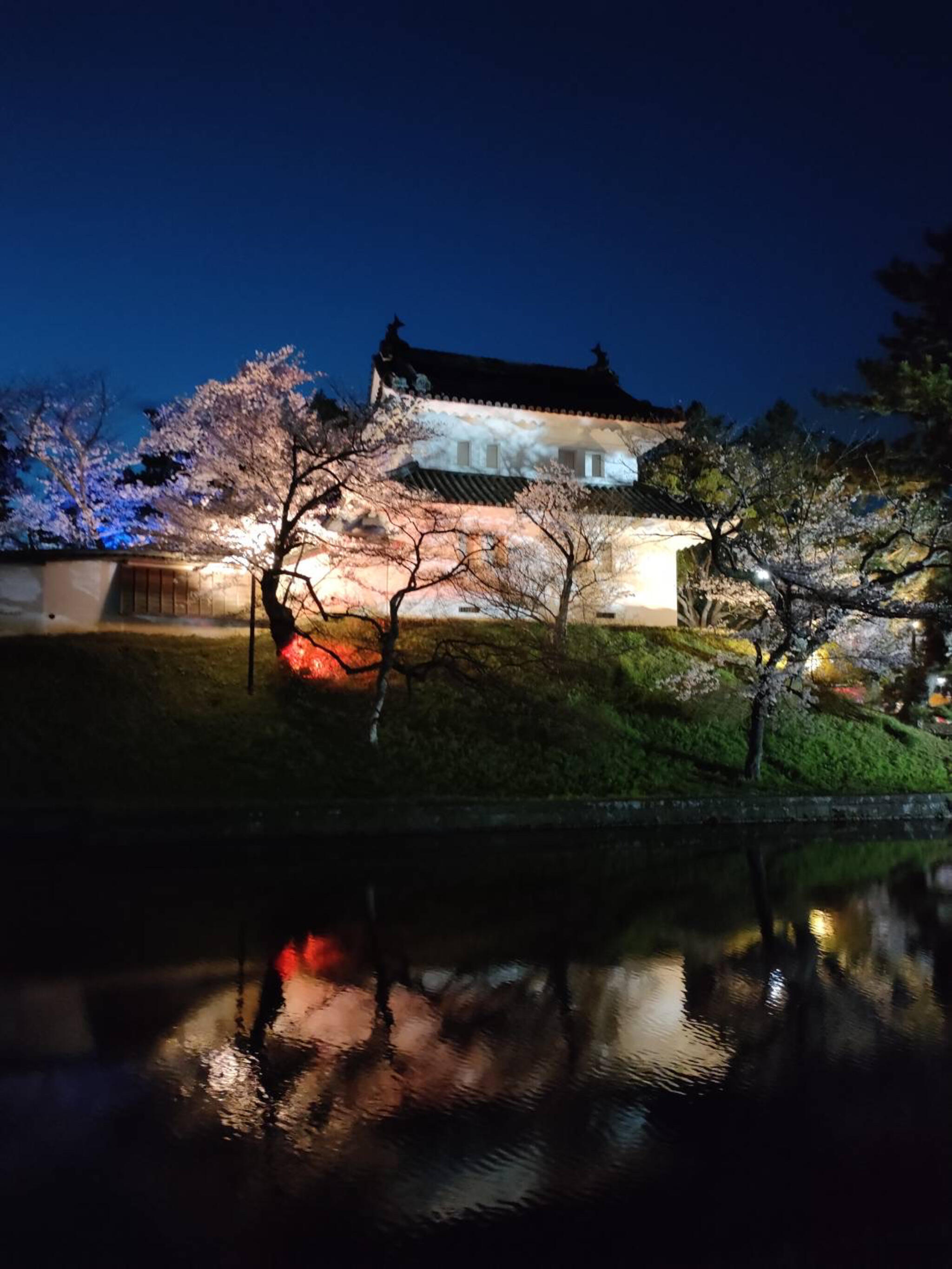 亀城公園(土浦城址) - 土浦市中央公園 | Yahoo!マップ