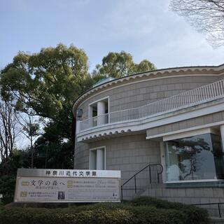 県立神奈川近代文学館の写真5