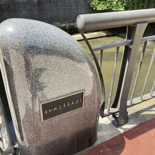 なかめ公園橋の写真1