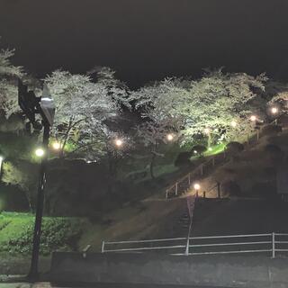 きみまち阪公園の写真8