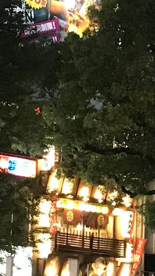個室×串カツ×食べ放題 日本一の串かつ横綱 梅田堂山店のクチコミ写真1