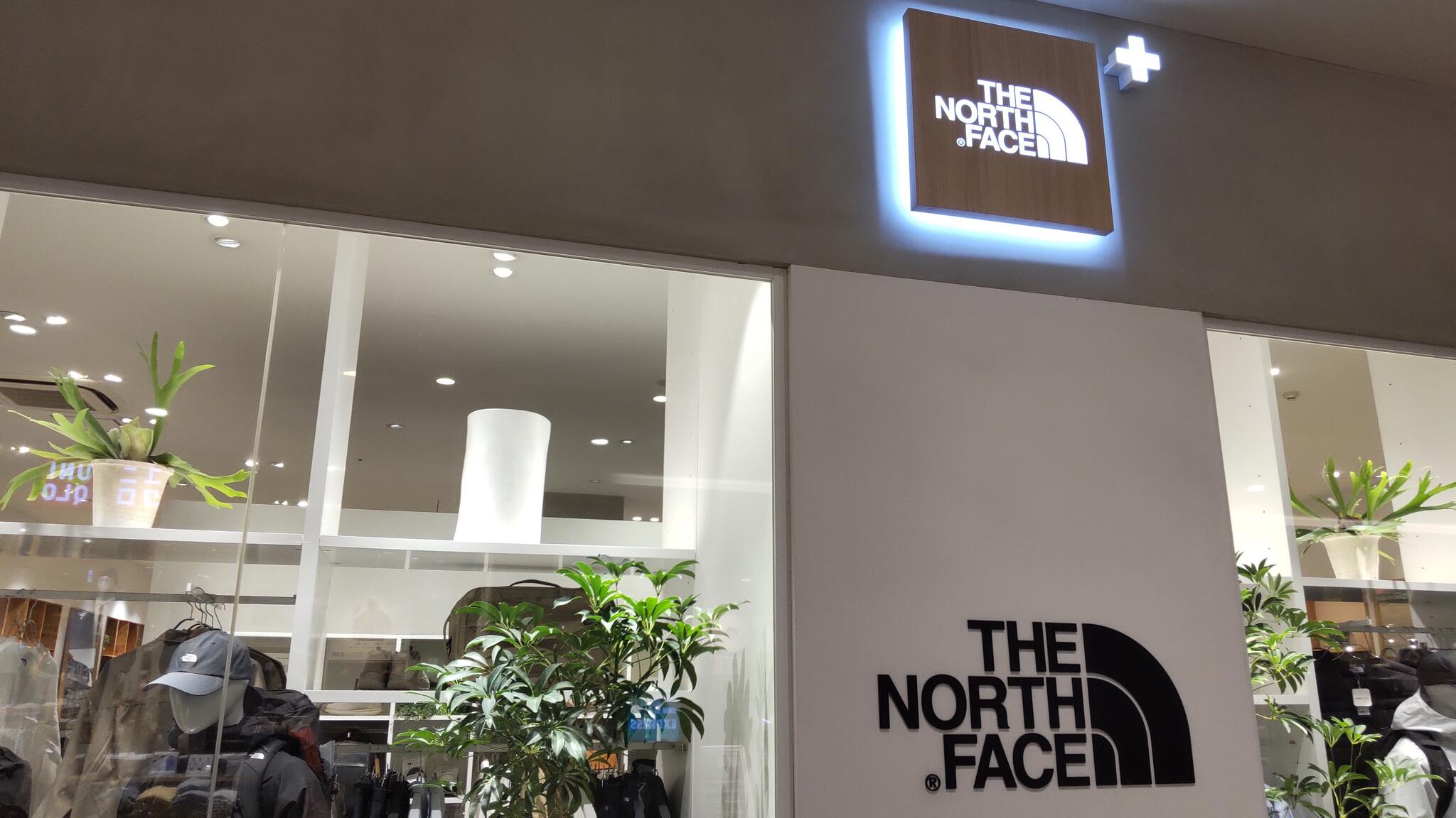 The north face diamond on sale mall