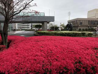 加古川市役所のクチコミ写真1