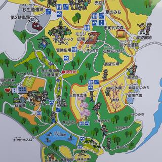 昭和の森の写真25