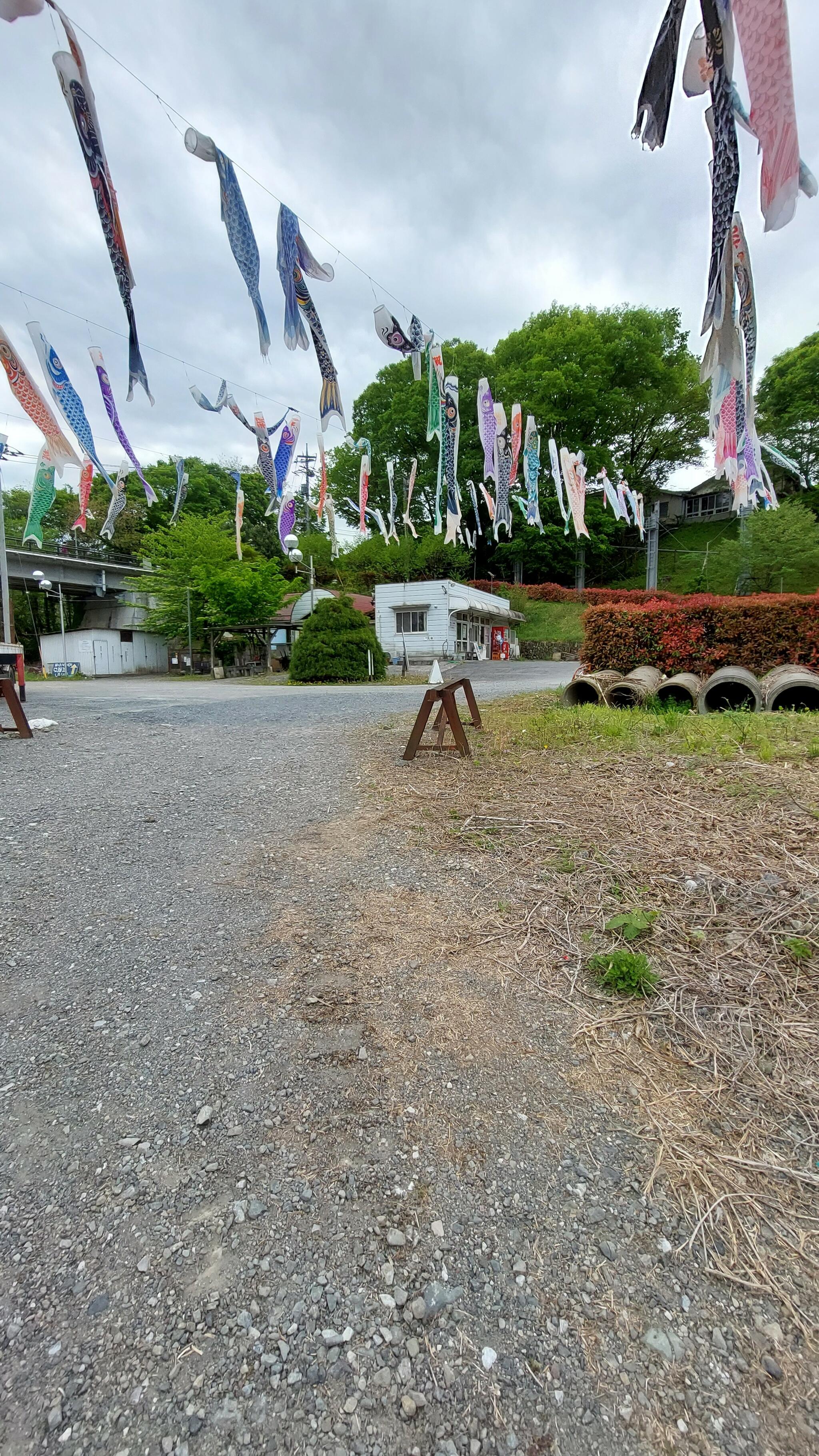 武甲キャンプ場の代表写真5