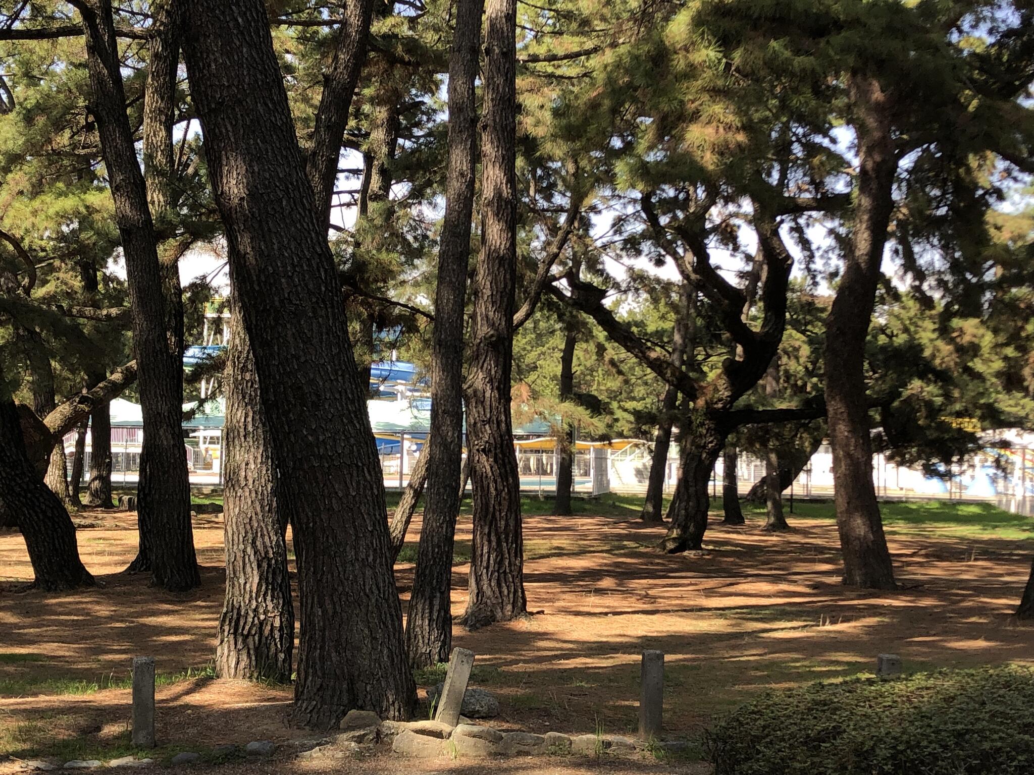 浜の宮公園の代表写真4