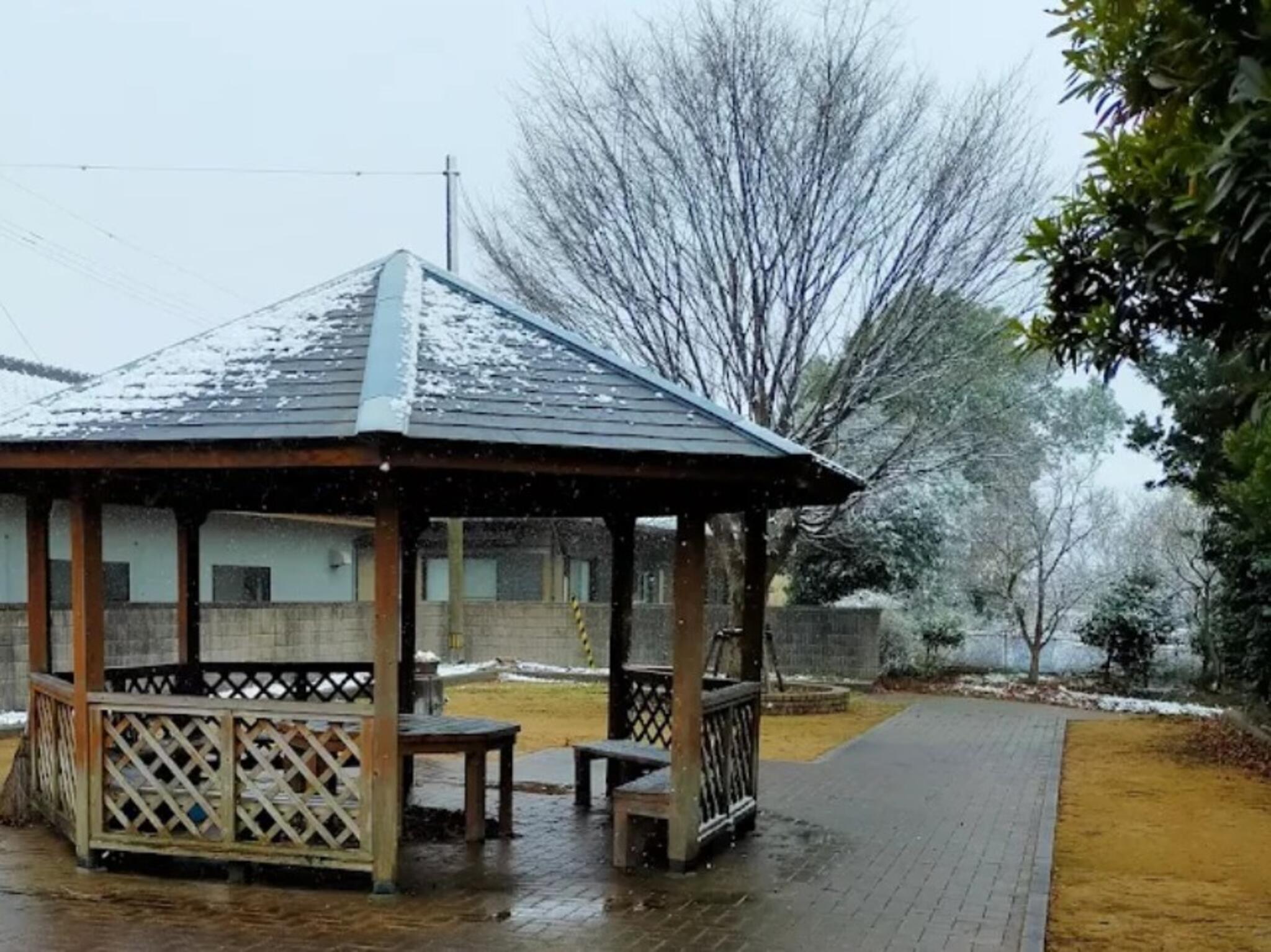 ドイツ村公園の代表写真1