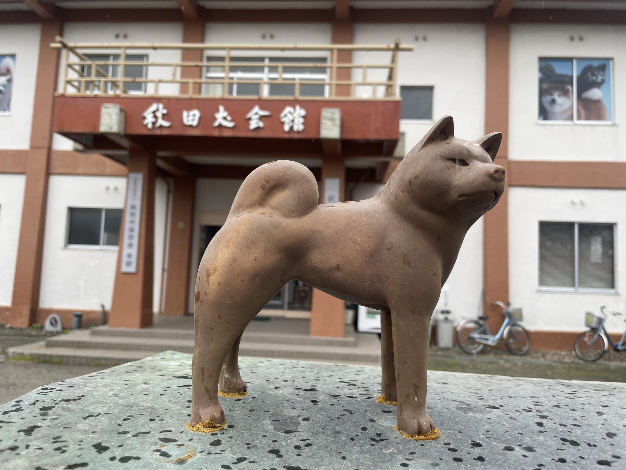 秋田犬会館の代表写真10