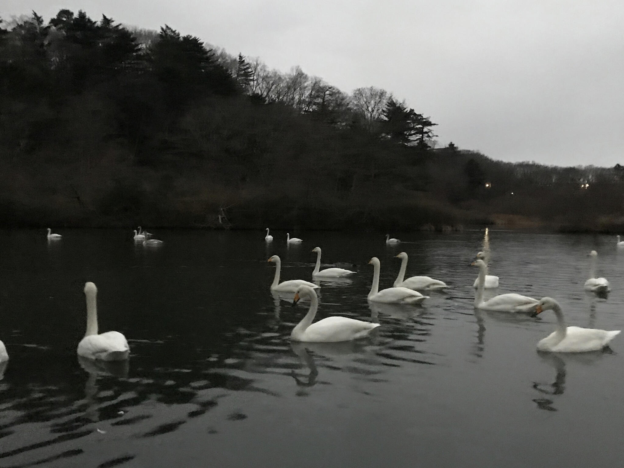 水の森公園キャンプ場の代表写真5