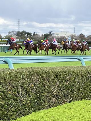 JRA 阪神競馬場のクチコミ写真2