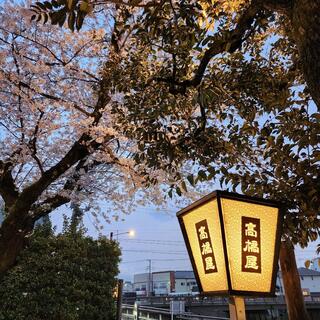 うなぎ割烹 四代目高橋屋の写真24