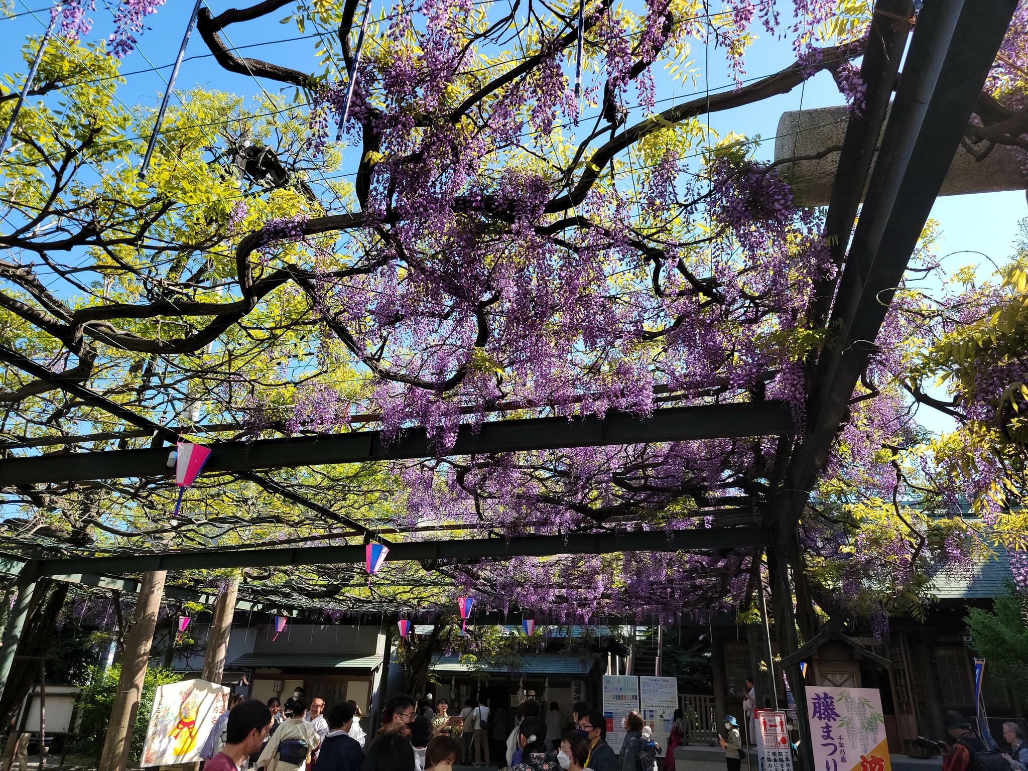 國領神社の代表写真9