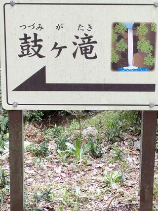 鼓ケ滝公園のクチコミ写真1