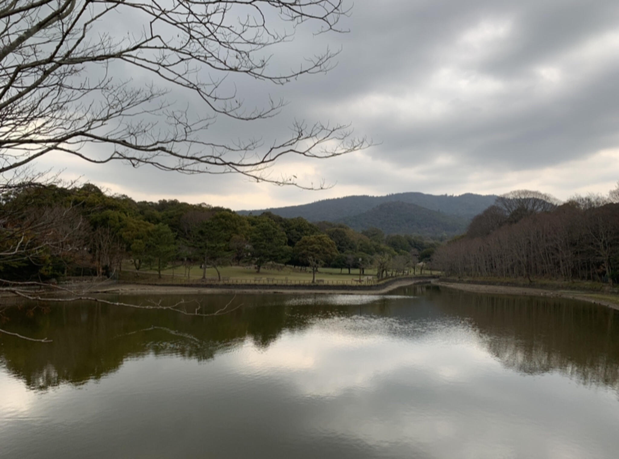 奈良公園の代表写真3