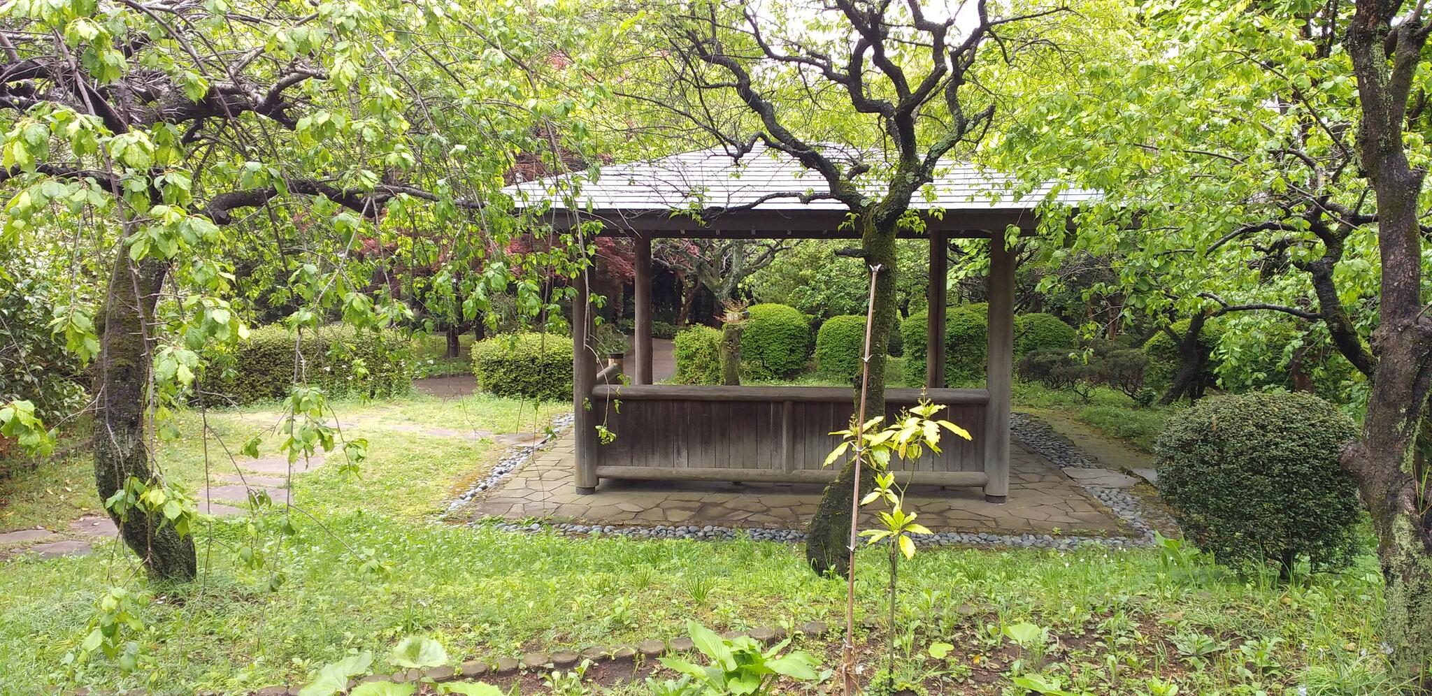 堂之坂公苑の代表写真4