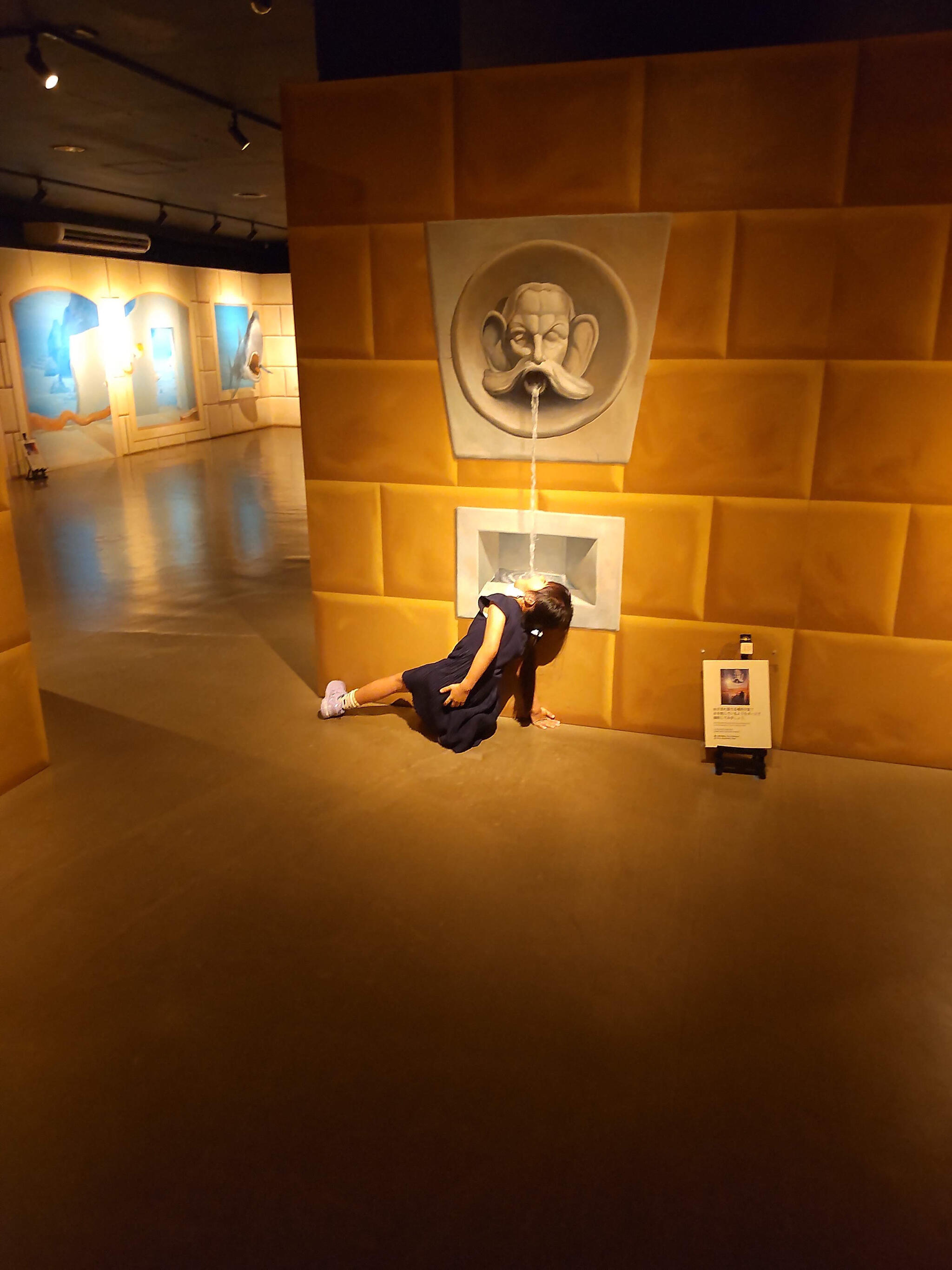 トリックアートミュージアム 軽井沢の代表写真4