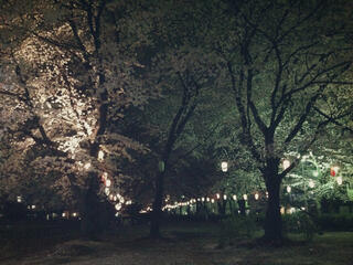 福岡中央公園のクチコミ写真1