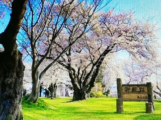 紫波城山公園のクチコミ写真1