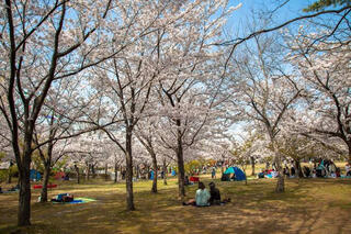 明石公園(愛知県)のクチコミ写真1