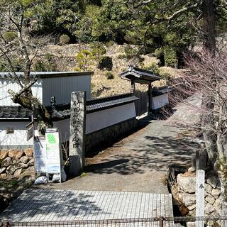 竹田寺町通りの写真11