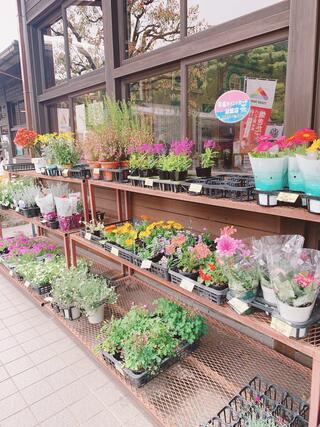 道の駅平成のクチコミ写真7